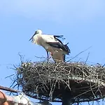 Eichschmid / Roell'n Biergarten Hotel 3*
