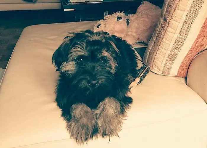 Hotel Eichschmid / Roell'n Biergarten 3*